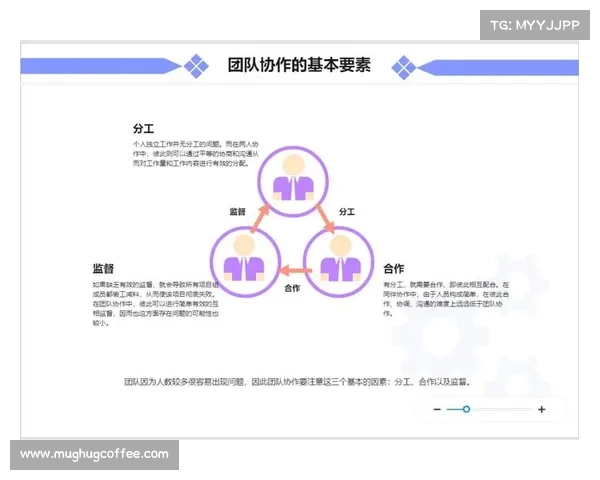 比赛进程图解析与数据展示助力赛事策略决策和团队协作优化