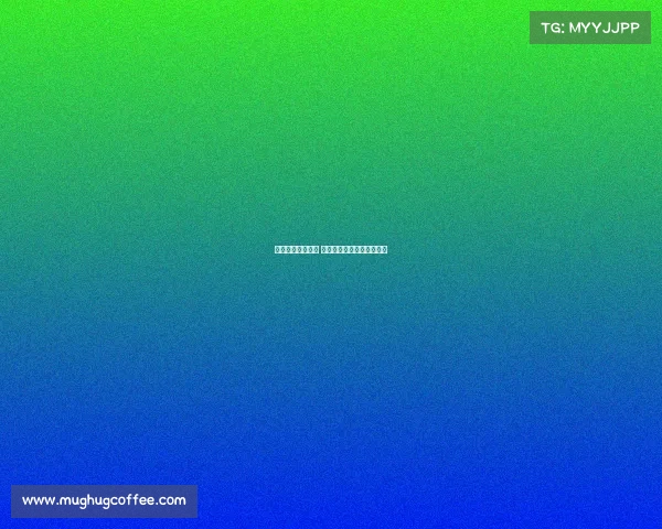 青岛德比激战再续 中超赛场两队争锋再掀风云 青岛德比激战再续 中超赛场两队争锋再掀风云