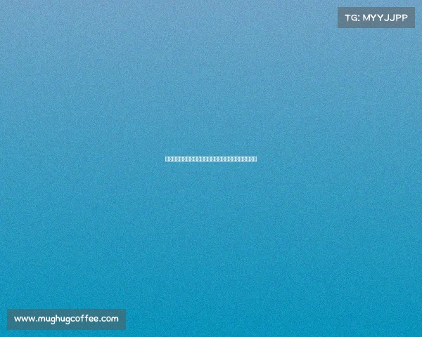 欧冠超级对决引爆全场世界顶级豪门争锋谁能称霸欧洲之巅