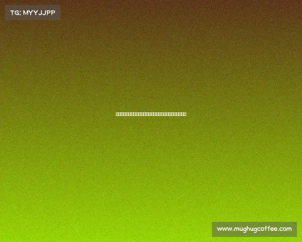 欧冠比赛场地分布与历史沿革分析：从首场赛事到现代化的变迁