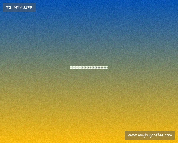 足球球员租借转会流程全解析 从谈判到正式加盟的每一步