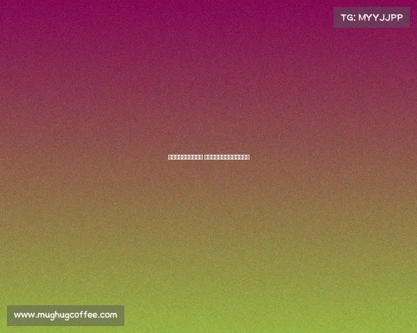 西甲首轮精彩对决揭幕 新赛季强强对抗引发球迷热议