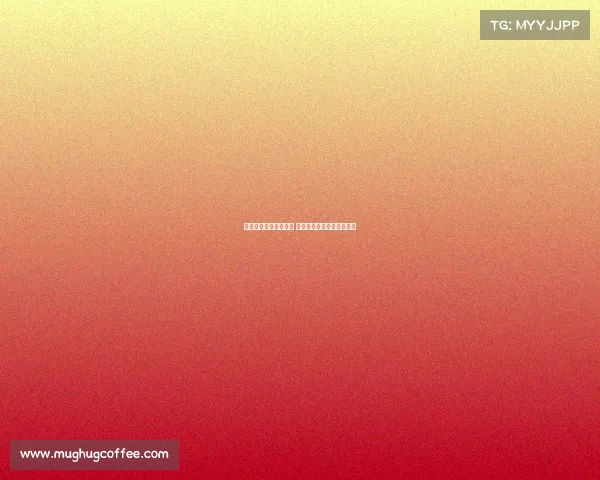 迈阿密热火队重塑辉煌 未来星光闪耀球场的新篇章